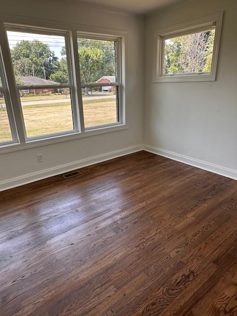 empty room featuring plenty of natural light and dark hardwood / wood-style flooring