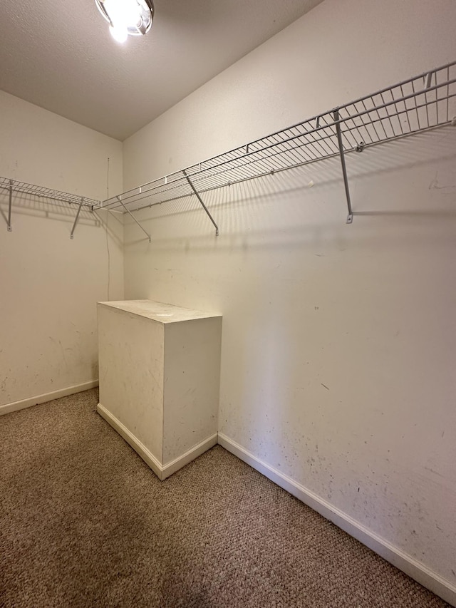 spacious closet with carpet floors