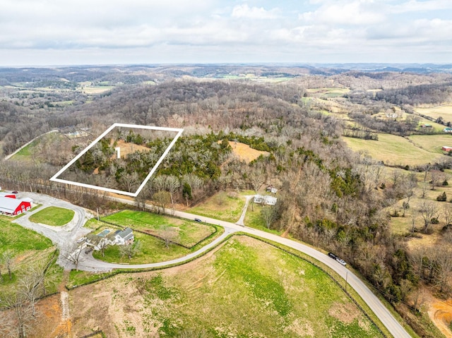 1742 Barker Rd, Thompsons Station, TN 37179