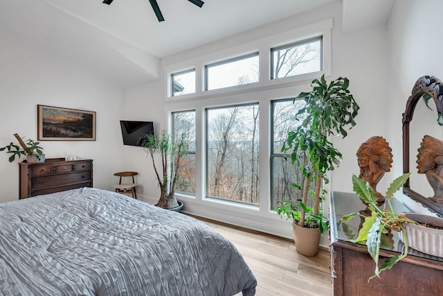 bedroom with ceiling fan, light hardwood / wood-style floors, and multiple windows