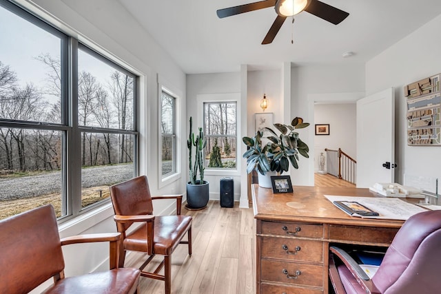 home office featuring a healthy amount of sunlight, light hardwood / wood-style flooring, and ceiling fan