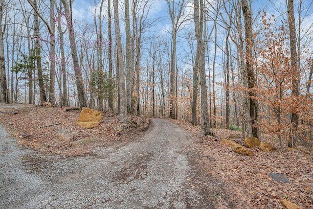 view of road