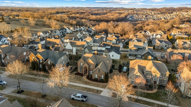 bird's eye view