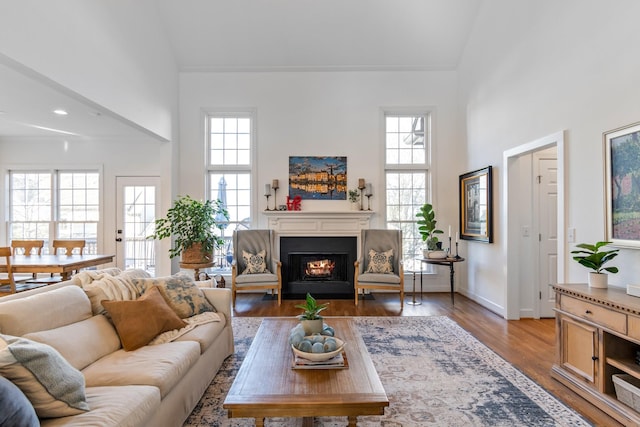 living room with high vaulted ceiling and light hardwood / wood-style flooring