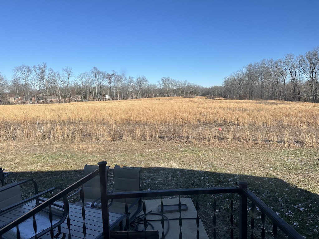 view of yard with a rural view