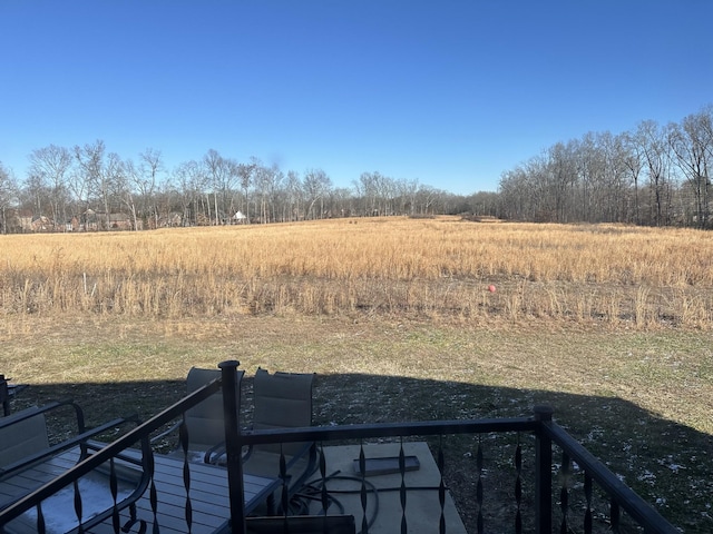 view of yard with a rural view