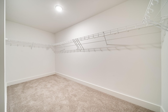 walk in closet featuring carpet flooring