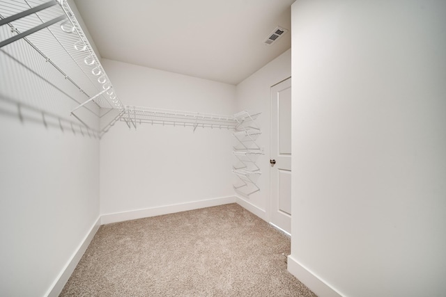 walk in closet featuring carpet flooring