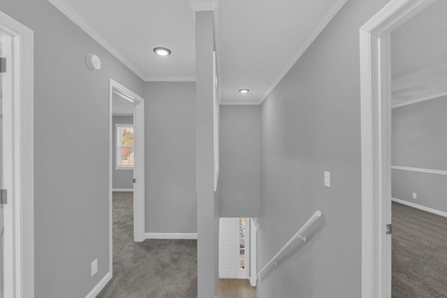 corridor featuring light colored carpet and crown molding