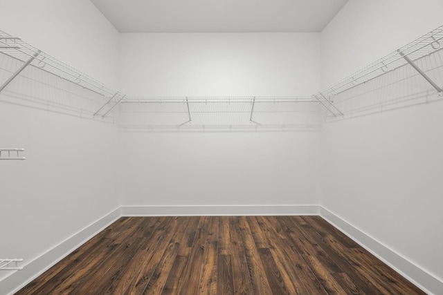 spacious closet with dark hardwood / wood-style flooring