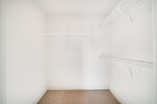 walk in closet featuring carpet floors