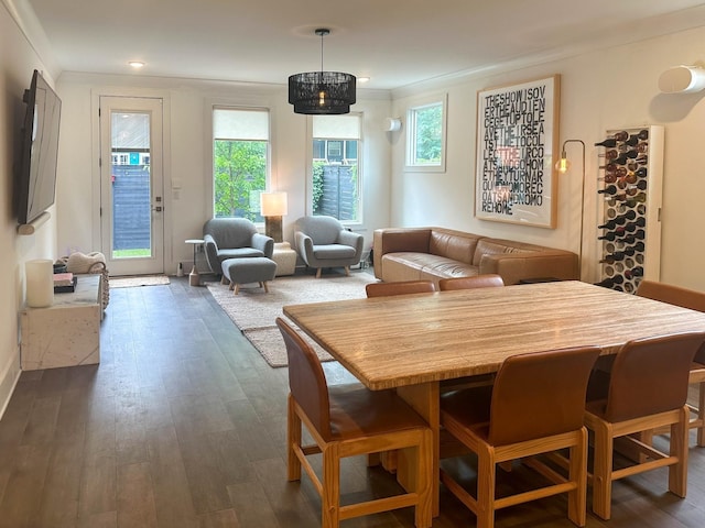 dining room featuring a healthy amount of sunlight, dark wood-type flooring, and ornamental molding