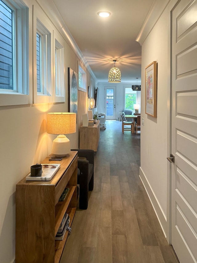 corridor featuring crown molding and dark hardwood / wood-style floors