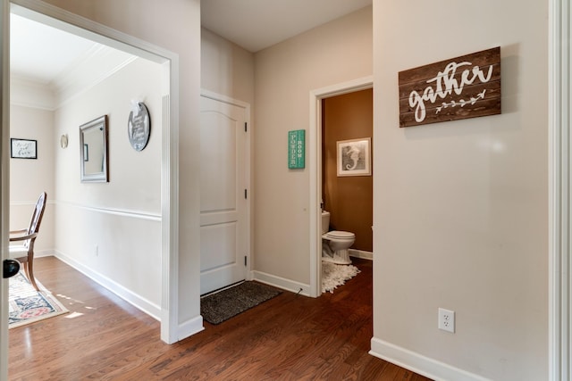 corridor with dark hardwood / wood-style flooring and crown molding