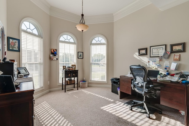 carpeted office with crown molding and a towering ceiling