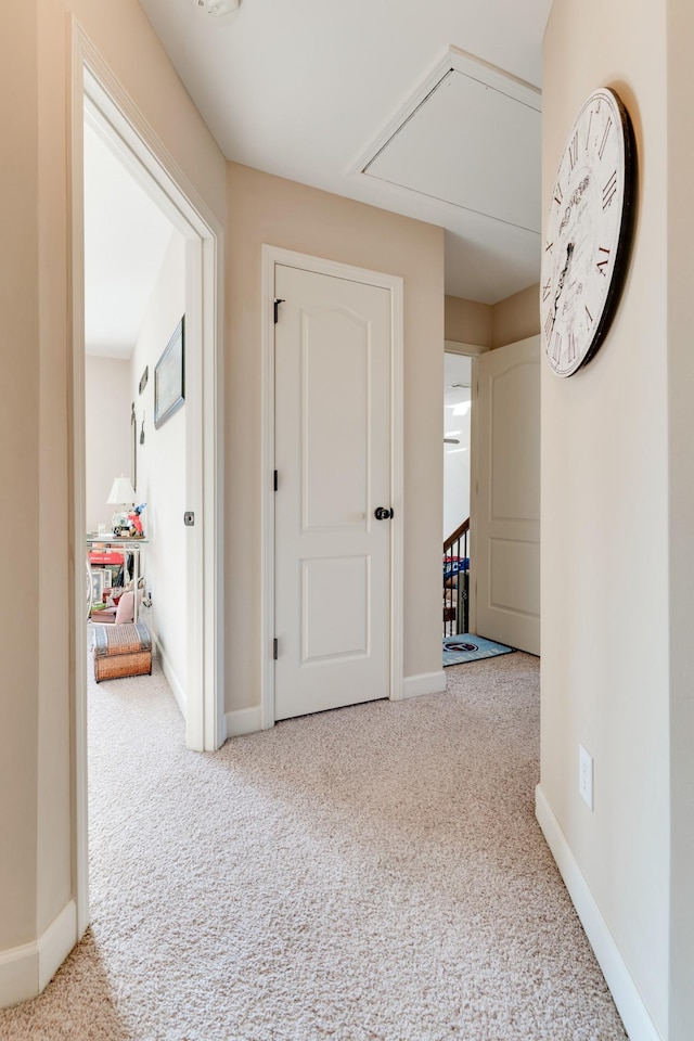 hallway with carpet flooring