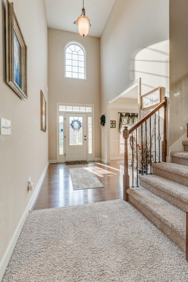 entrance foyer featuring a high ceiling and wood-type flooring