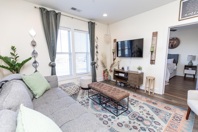 living room featuring hardwood / wood-style floors and a healthy amount of sunlight