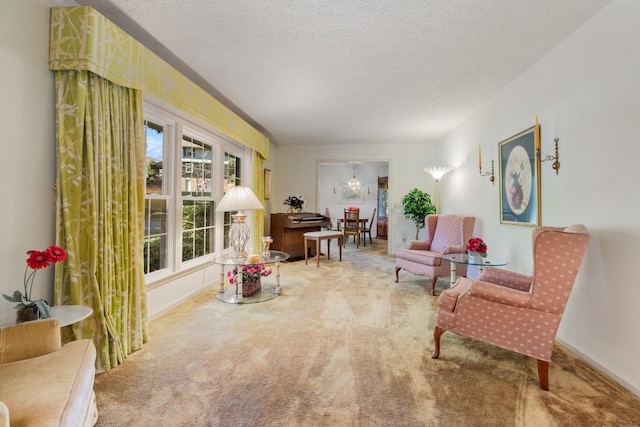 sitting room featuring a textured ceiling and carpet floors