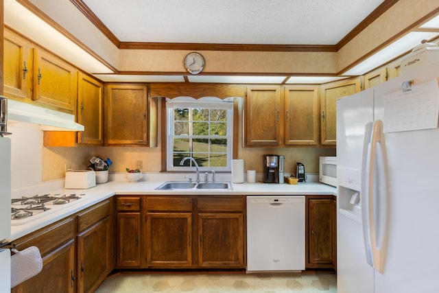 kitchen featuring sink, white appliances, and ornamental molding