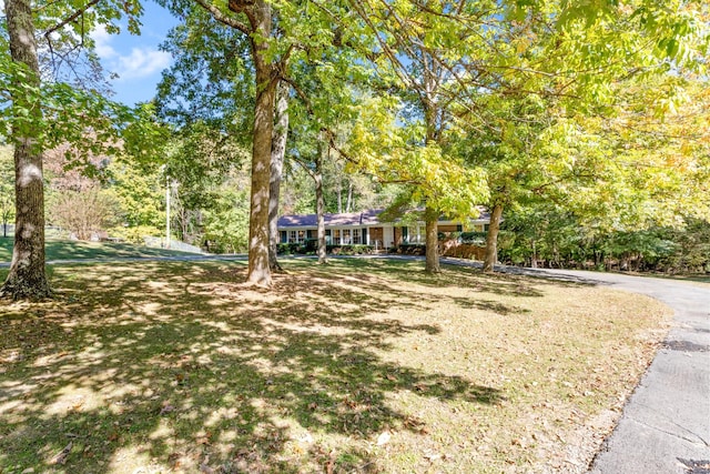 view of front of home featuring a front yard