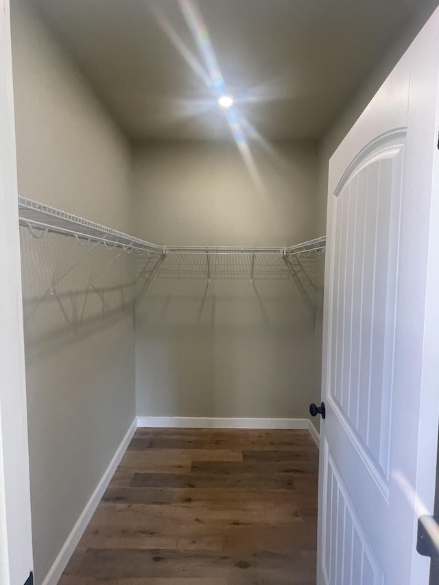 spacious closet featuring dark hardwood / wood-style floors