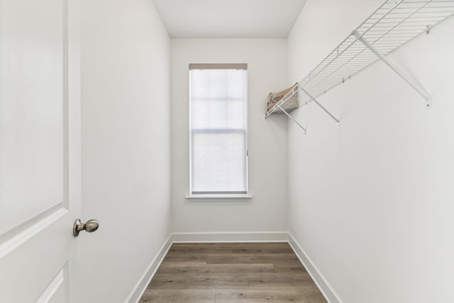 spacious closet featuring wood-type flooring