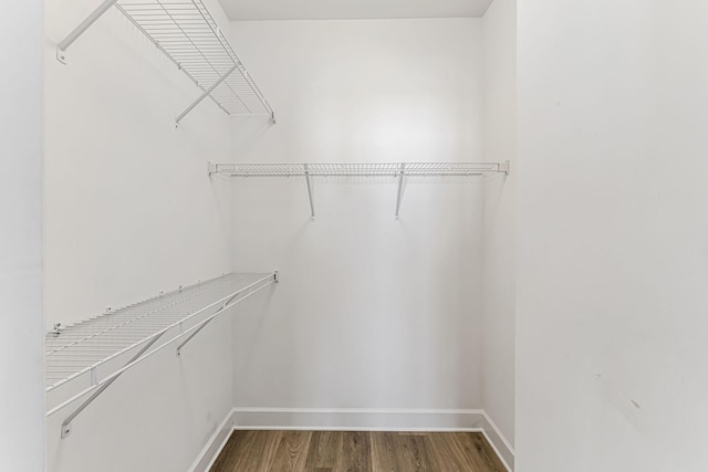 spacious closet featuring wood-type flooring