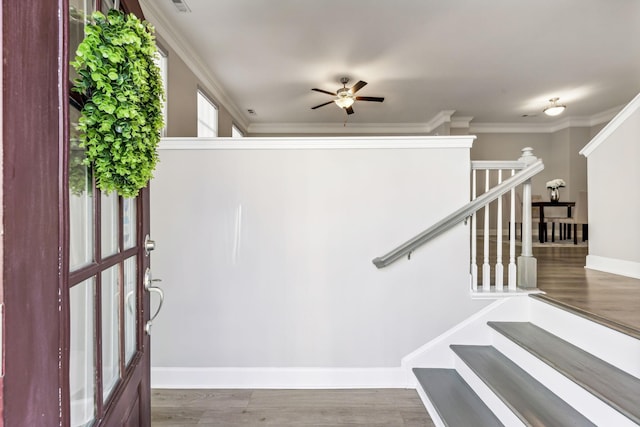 stairs with crown molding, hardwood / wood-style floors, and ceiling fan