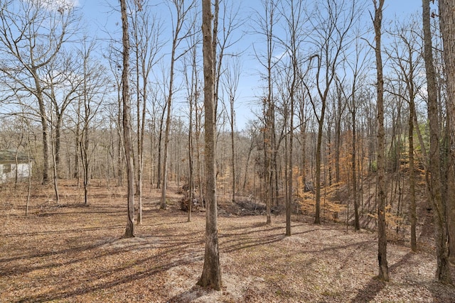 view of landscape