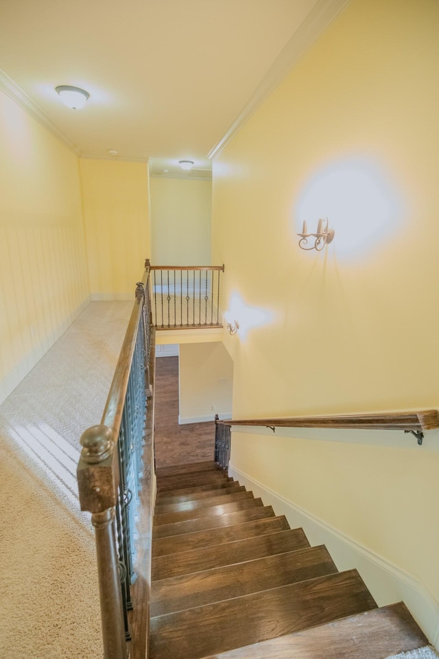 staircase featuring crown molding and wood-type flooring