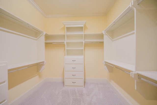 spacious closet with light colored carpet