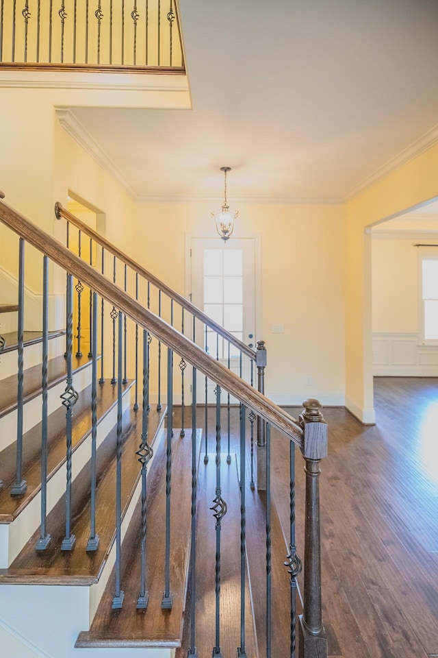 stairway with ornamental molding and wood-type flooring