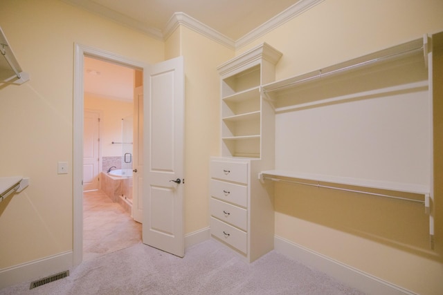 spacious closet featuring light colored carpet