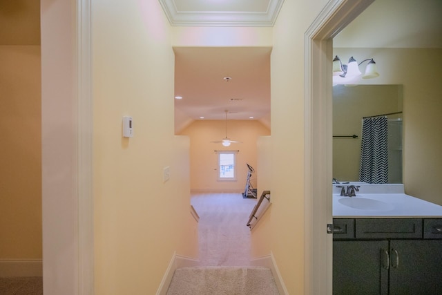 hallway featuring crown molding, sink, and carpet