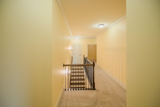 hallway featuring carpet floors and ornamental molding