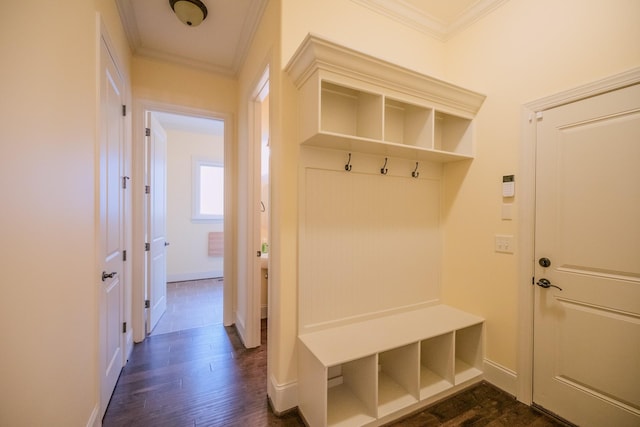 mudroom featuring crown molding and dark wood-type flooring