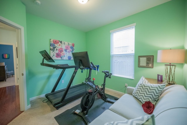 workout room featuring carpet floors