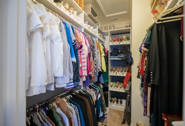 view of spacious closet