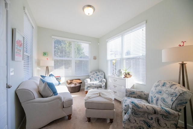 living room with carpet floors and a wealth of natural light