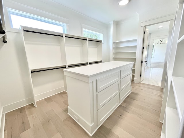 spacious closet with light hardwood / wood-style floors