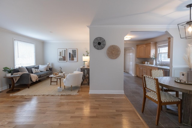 living room with wood-type flooring, sink, and crown molding