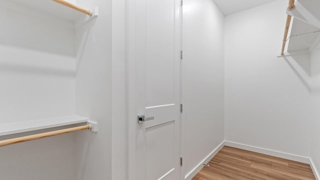 spacious closet featuring light hardwood / wood-style flooring