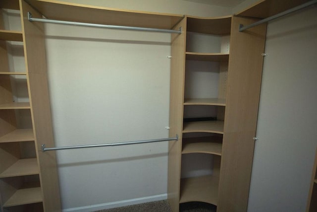 view of walk in closet