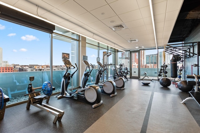 exercise room featuring expansive windows and a healthy amount of sunlight