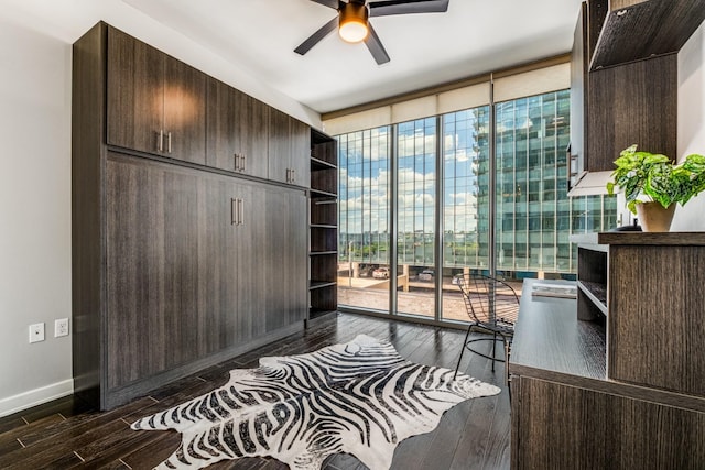 office featuring ceiling fan, dark hardwood / wood-style floors, and floor to ceiling windows