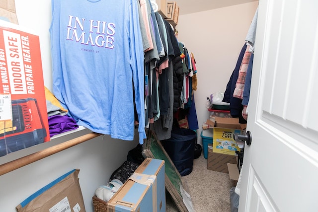 spacious closet featuring carpet