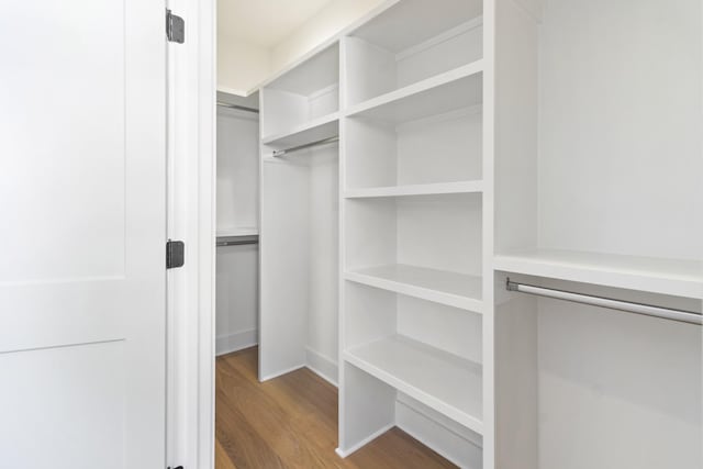 spacious closet featuring hardwood / wood-style flooring