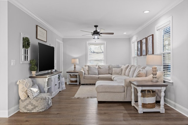 living room with ceiling fan, ornamental molding, and dark wood-type flooring