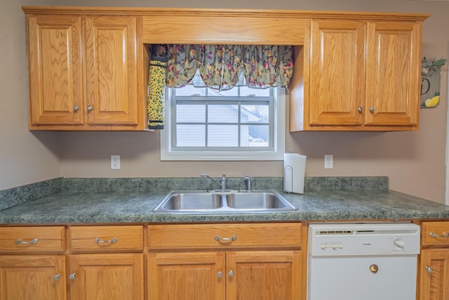 kitchen with sink and dishwasher